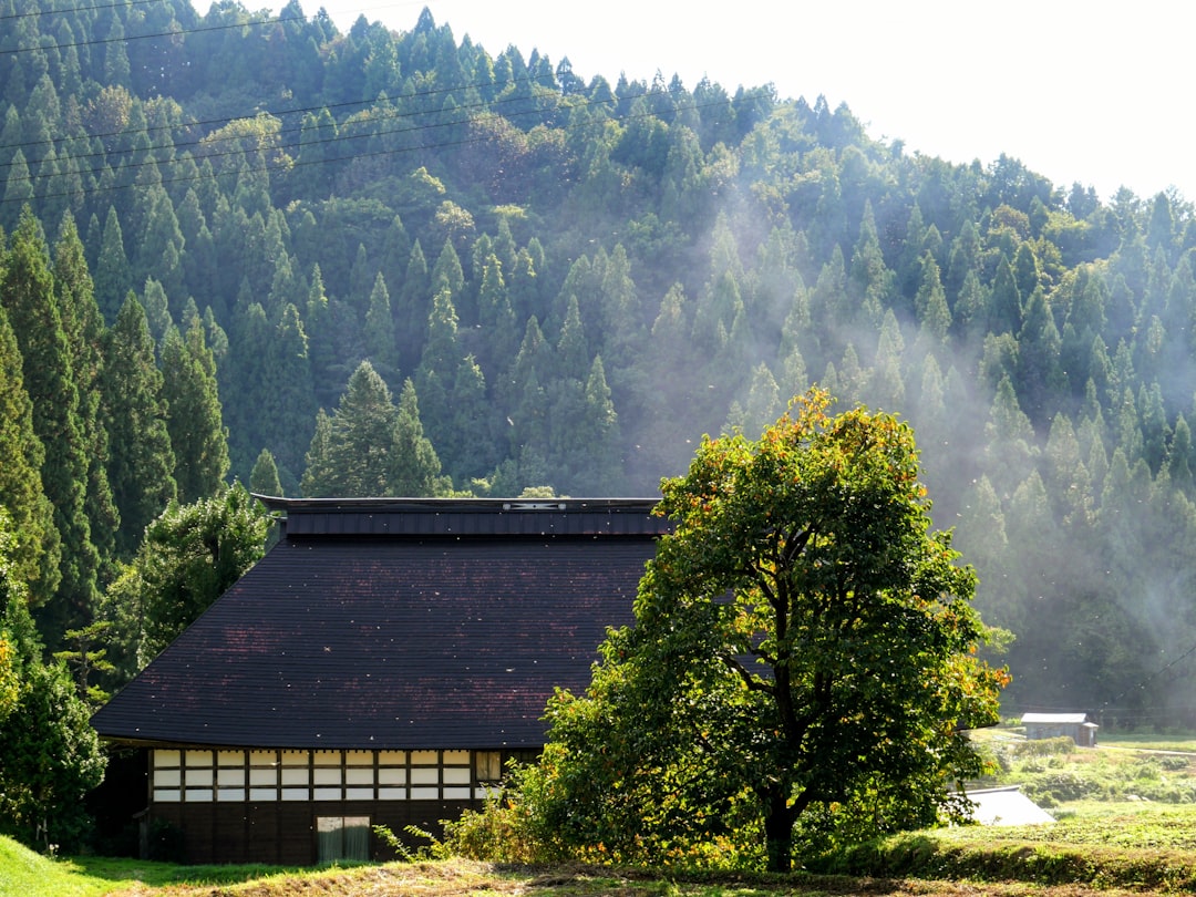 長野県野沢温泉の合掌造り農家と朝霧に包まれた山の風景