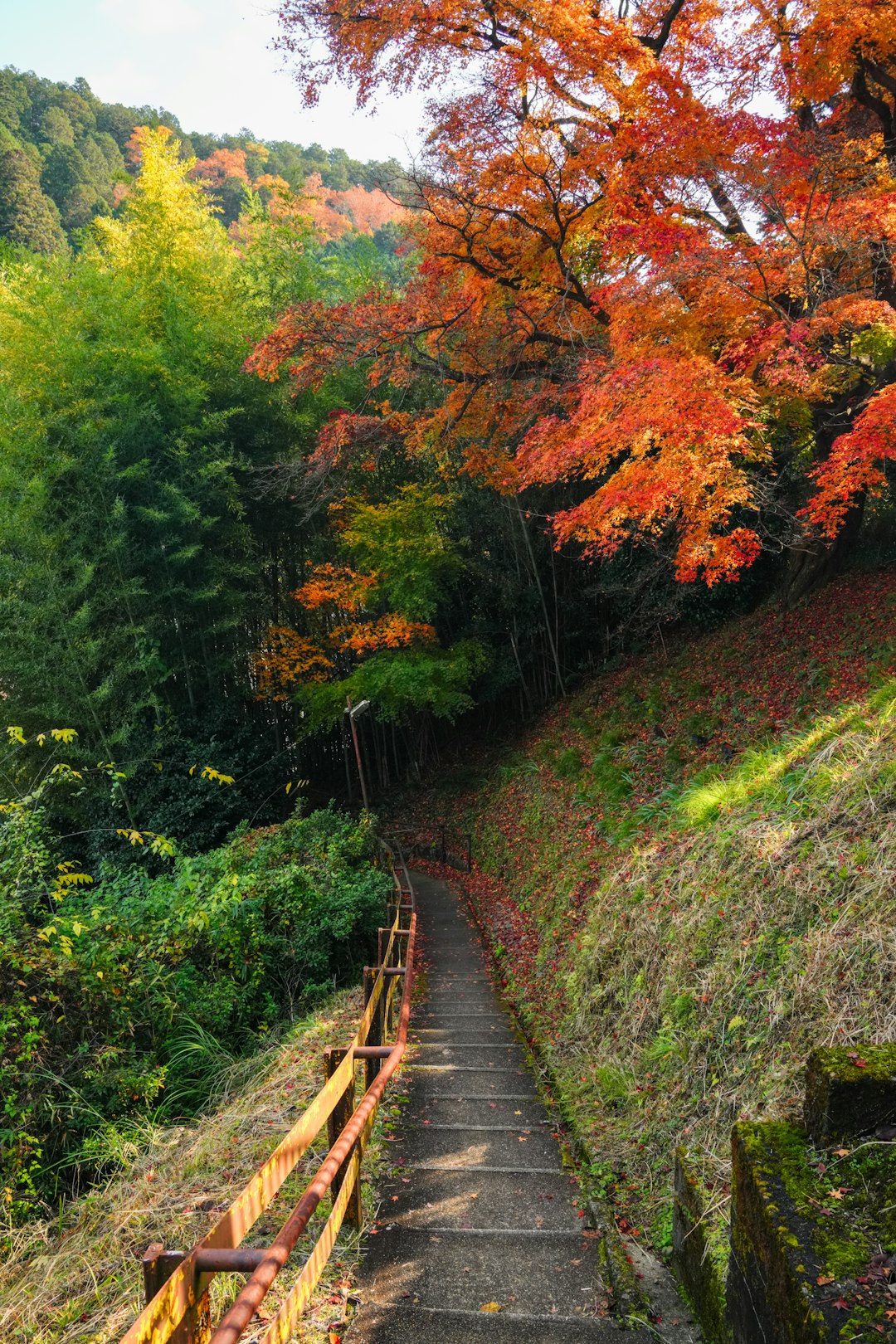 50代夫婦 秋山 登山