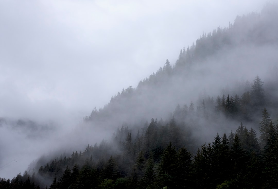 登山 霧 視界不良