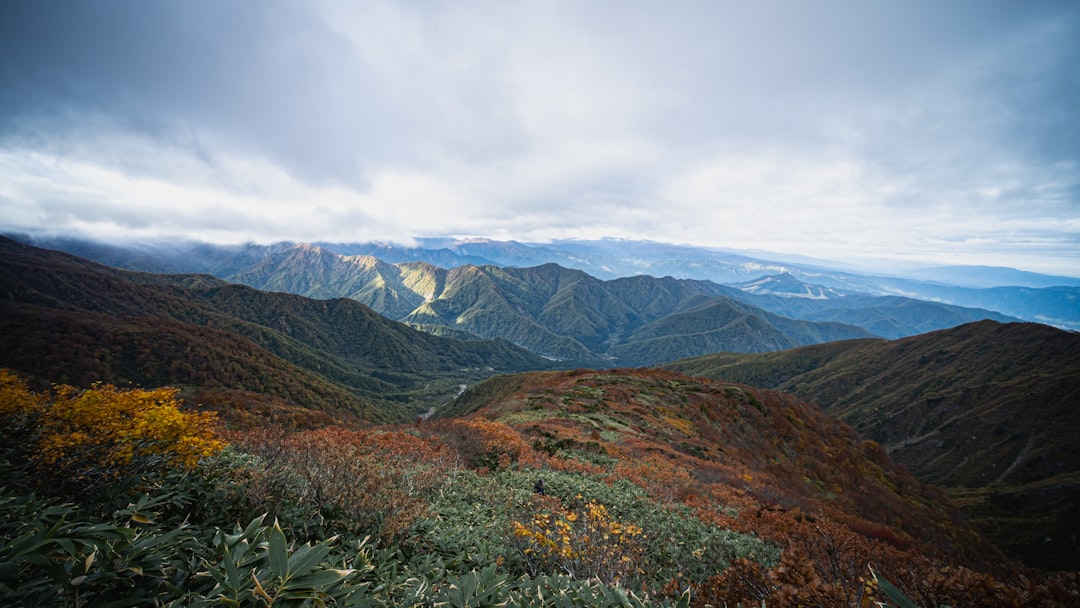 奥武蔵 山頂 眺望