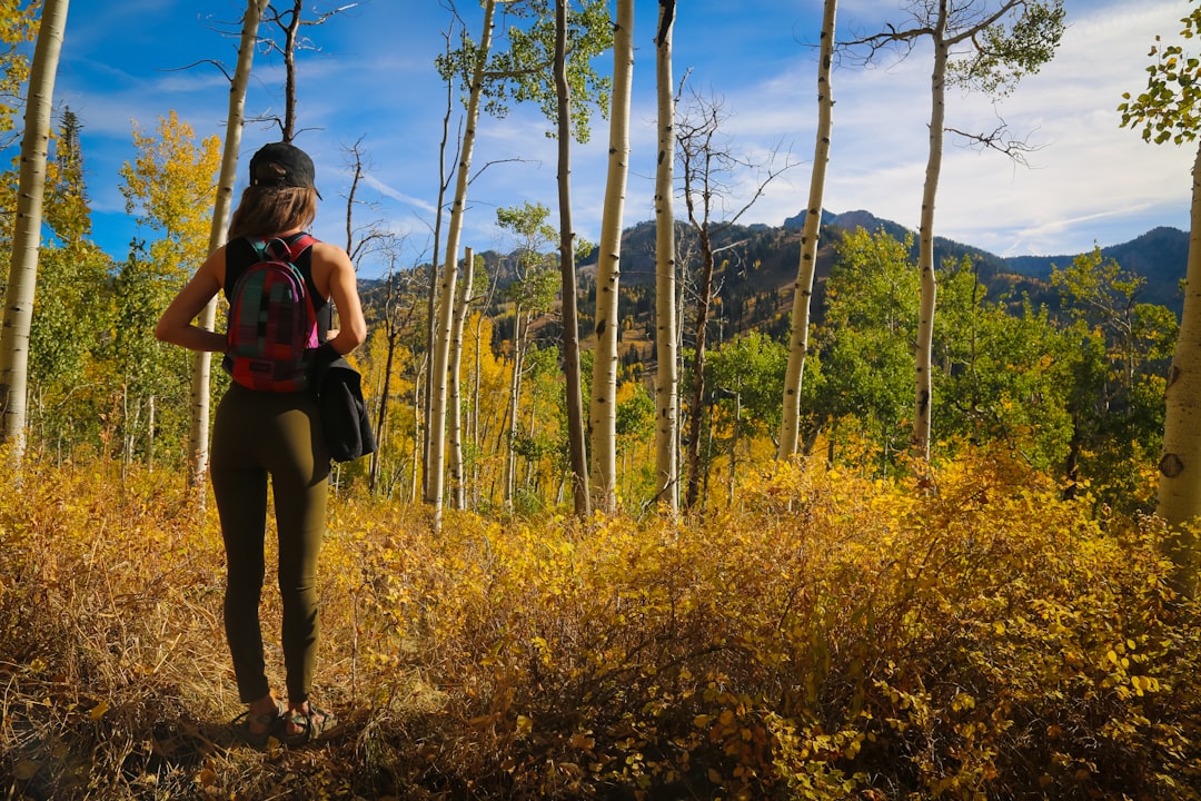 登山ウェアを着てハイキングをする人のイメージ