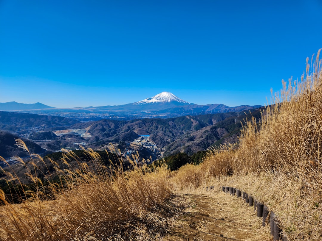 丹沢大山の紅葉登山