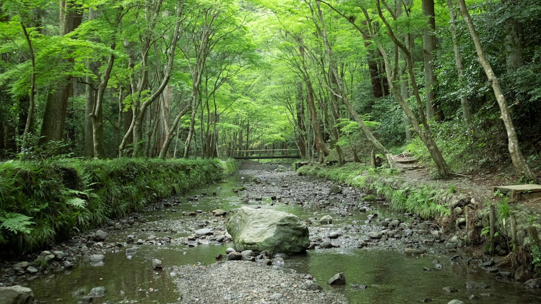夏山登山の薄手グローブ・UVカット手袋