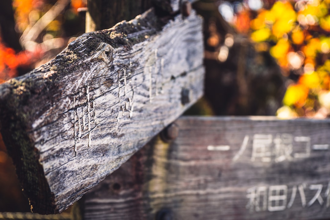 奥多摩の紅葉と登山