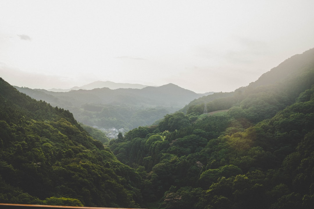 富士山の登山道