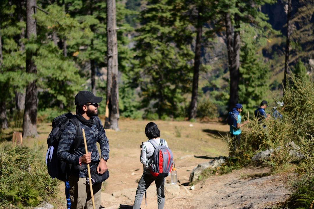 雄大な自然の中で山道を歩く人物