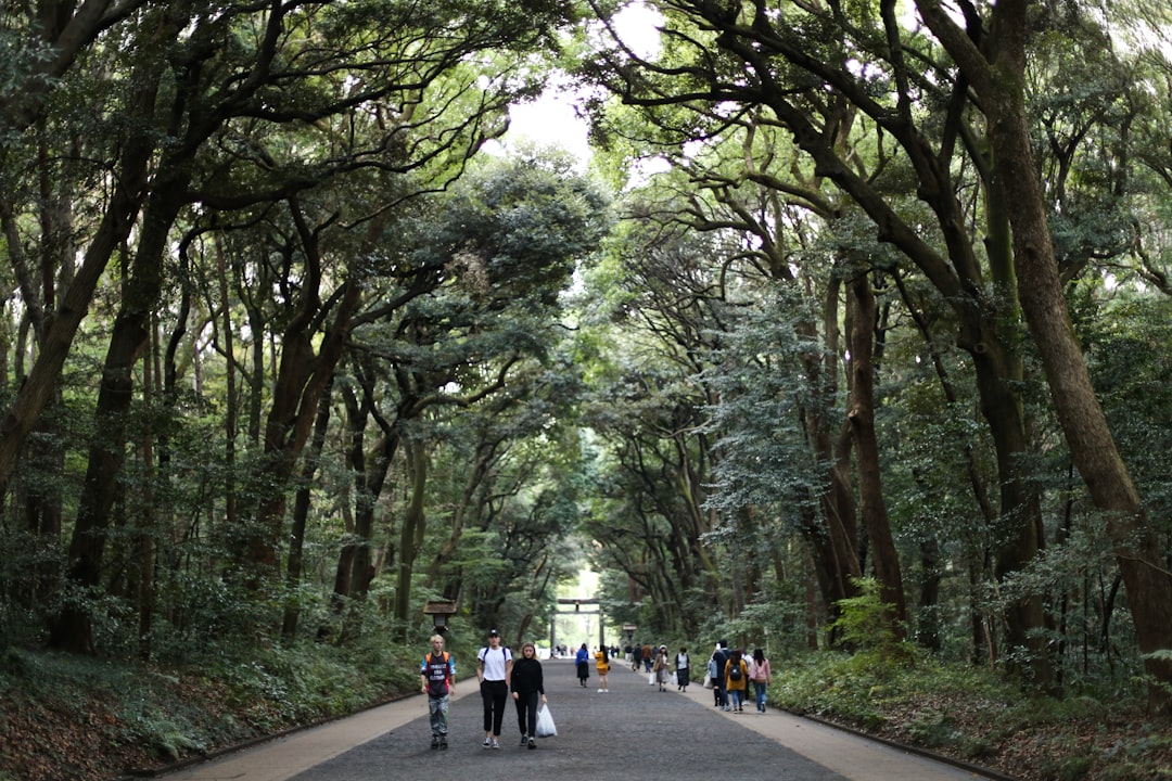 御岳山の登山道と神社