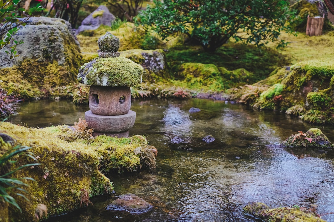 御岳山ロックガーデンの苔と岩