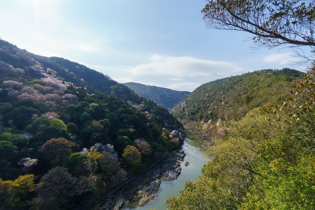 緑に包まれた渓谷を流れる川