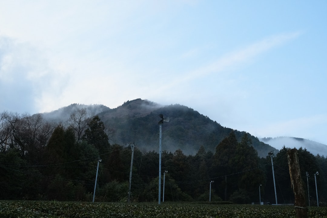 朝の山の清々しい景色