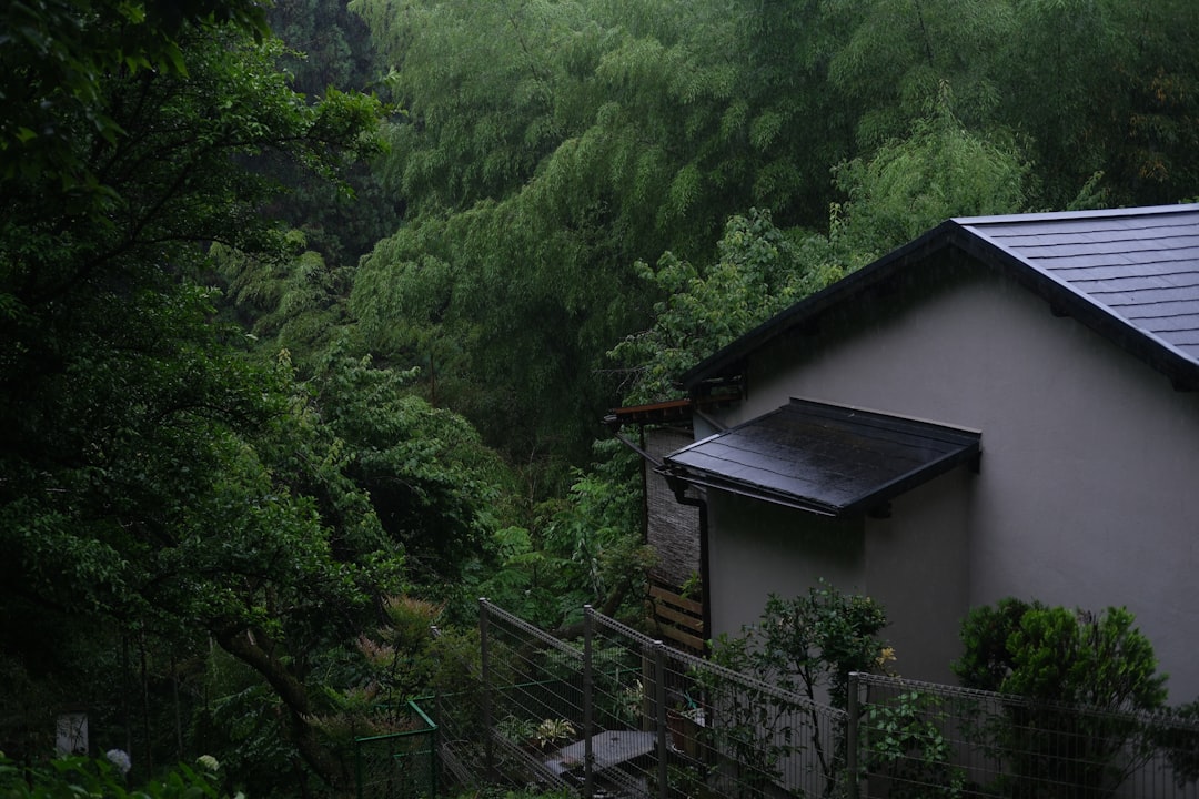 梅雨時期の日本の雨のある風景