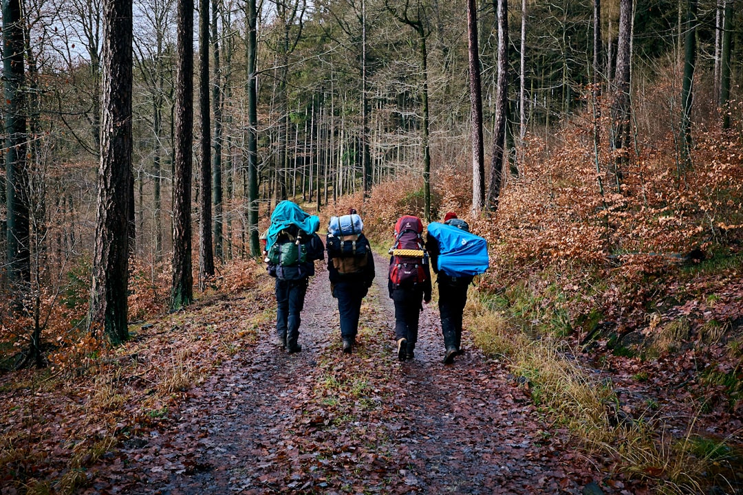 森の登山道でリュックを背負う50代