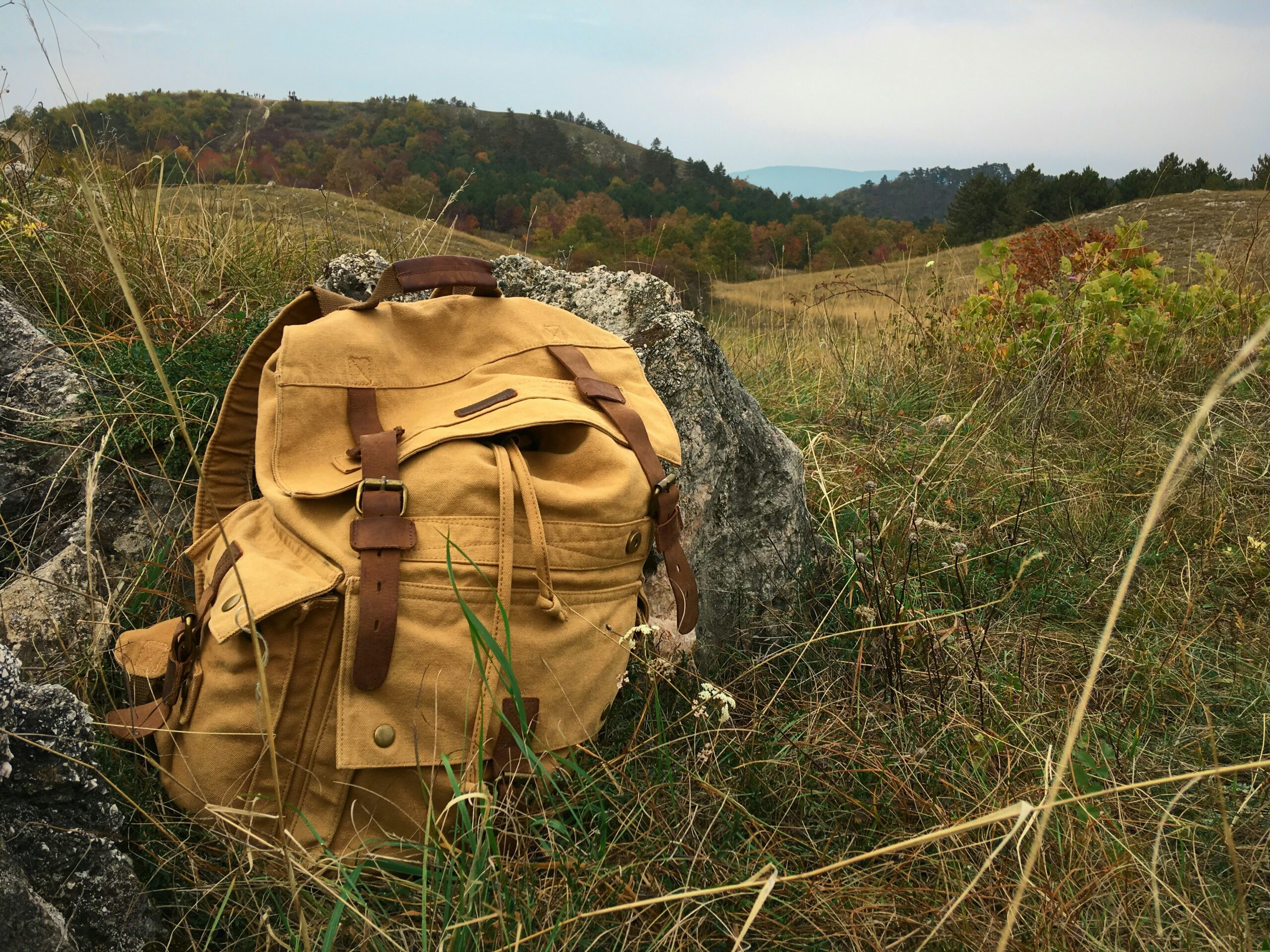 秋の紅葉の丘に置かれた登山用バックパック