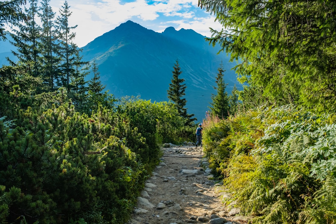 登山道を歩く足元アップ