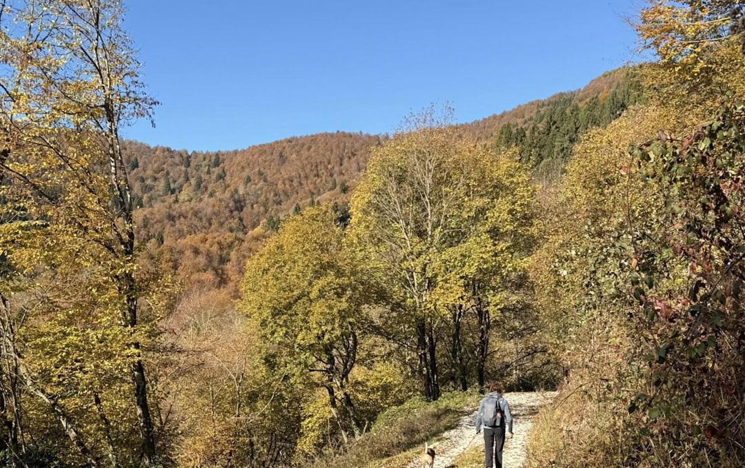 秋の山と登山者