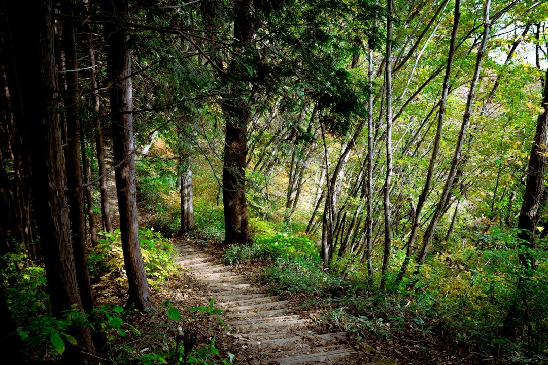 日本の山の登山道