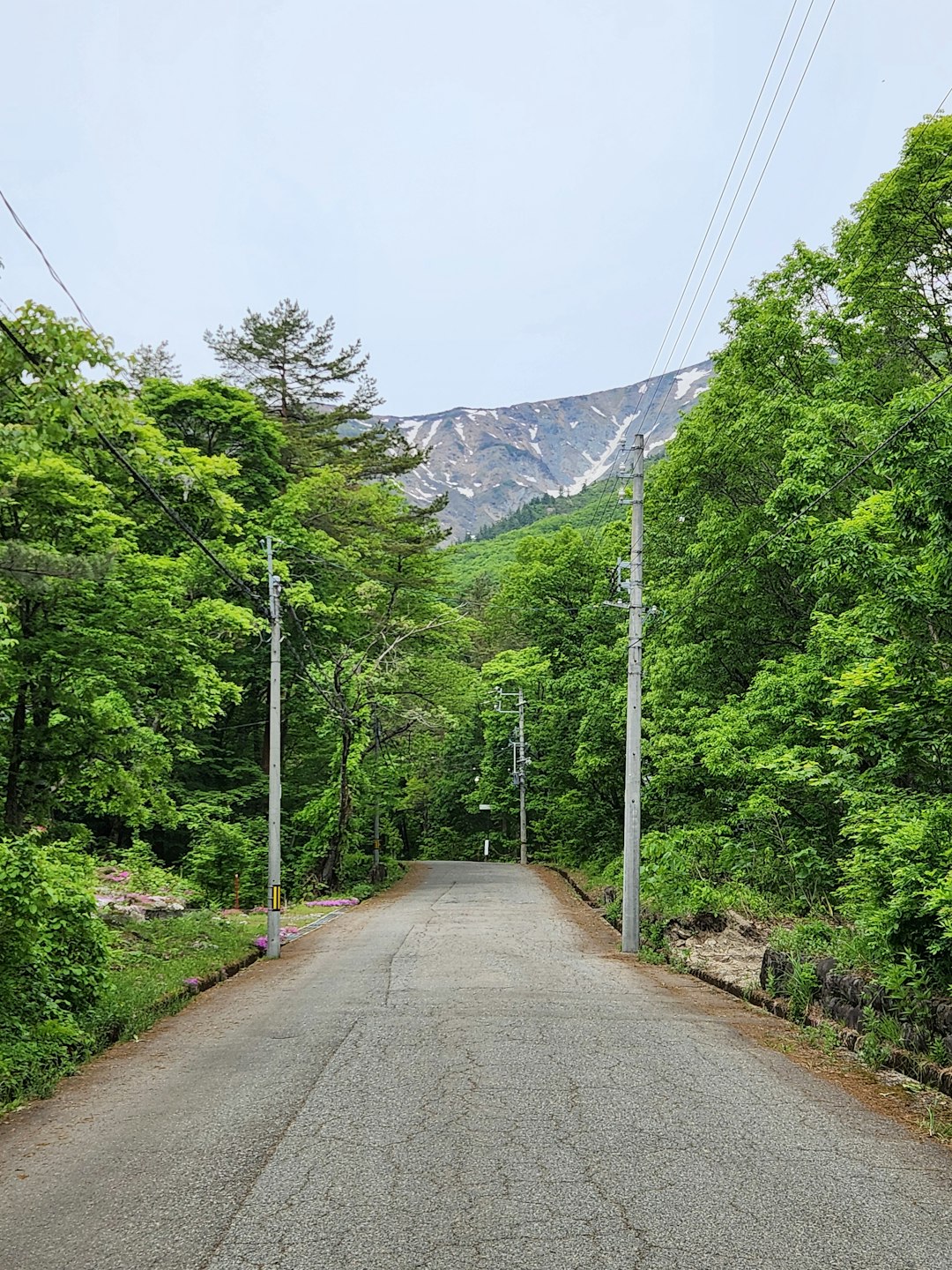 低山山頂 夏景色