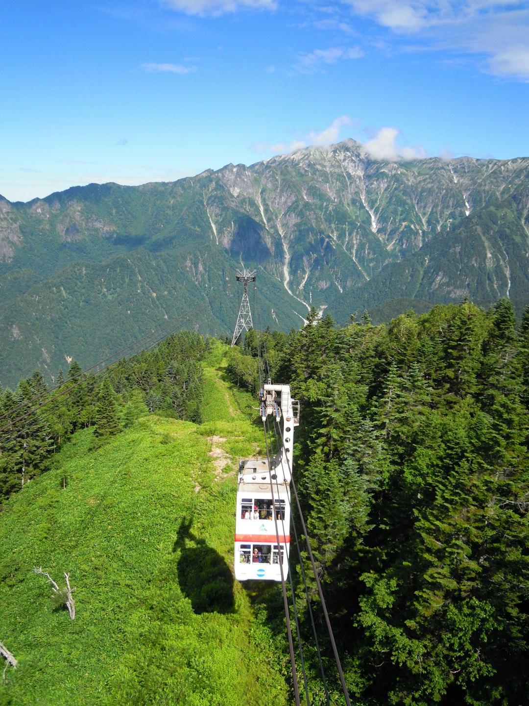 高尾山ケーブルカー 50代向け登山