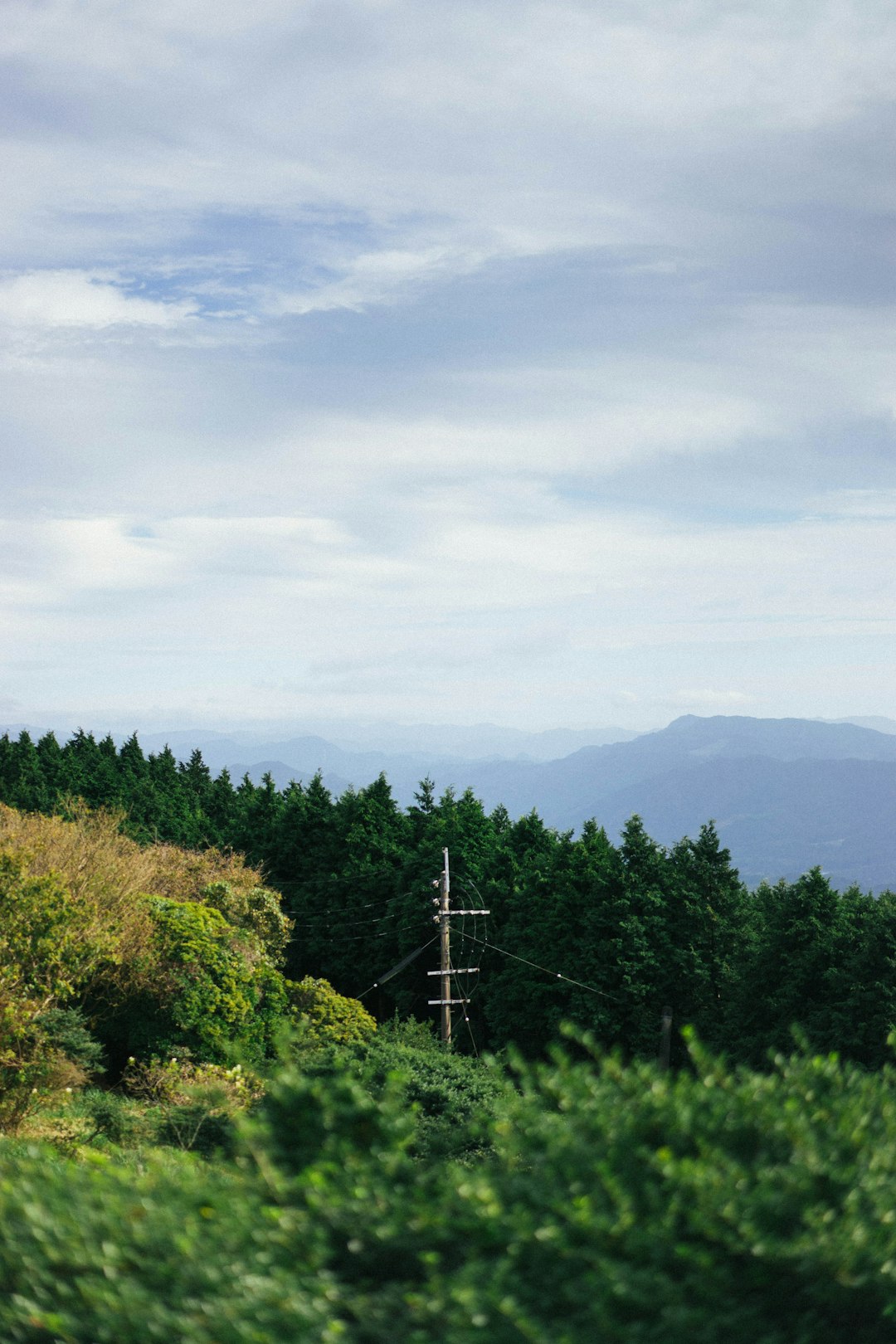 苗場山の登山風景