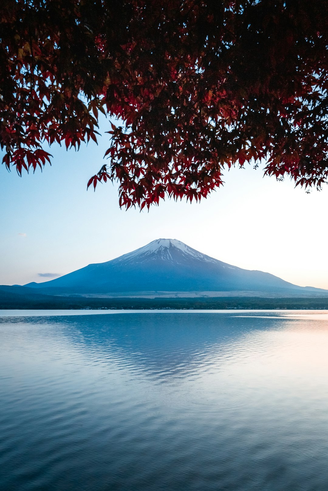 日本の湖と山