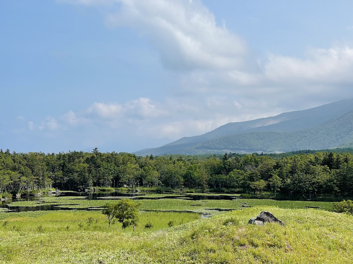 霧ヶ峰 夏の高原ハイキング