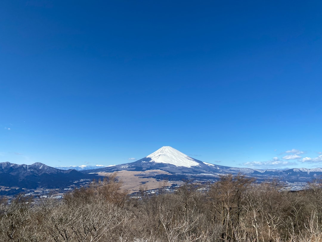 大山（丹沢）登山道