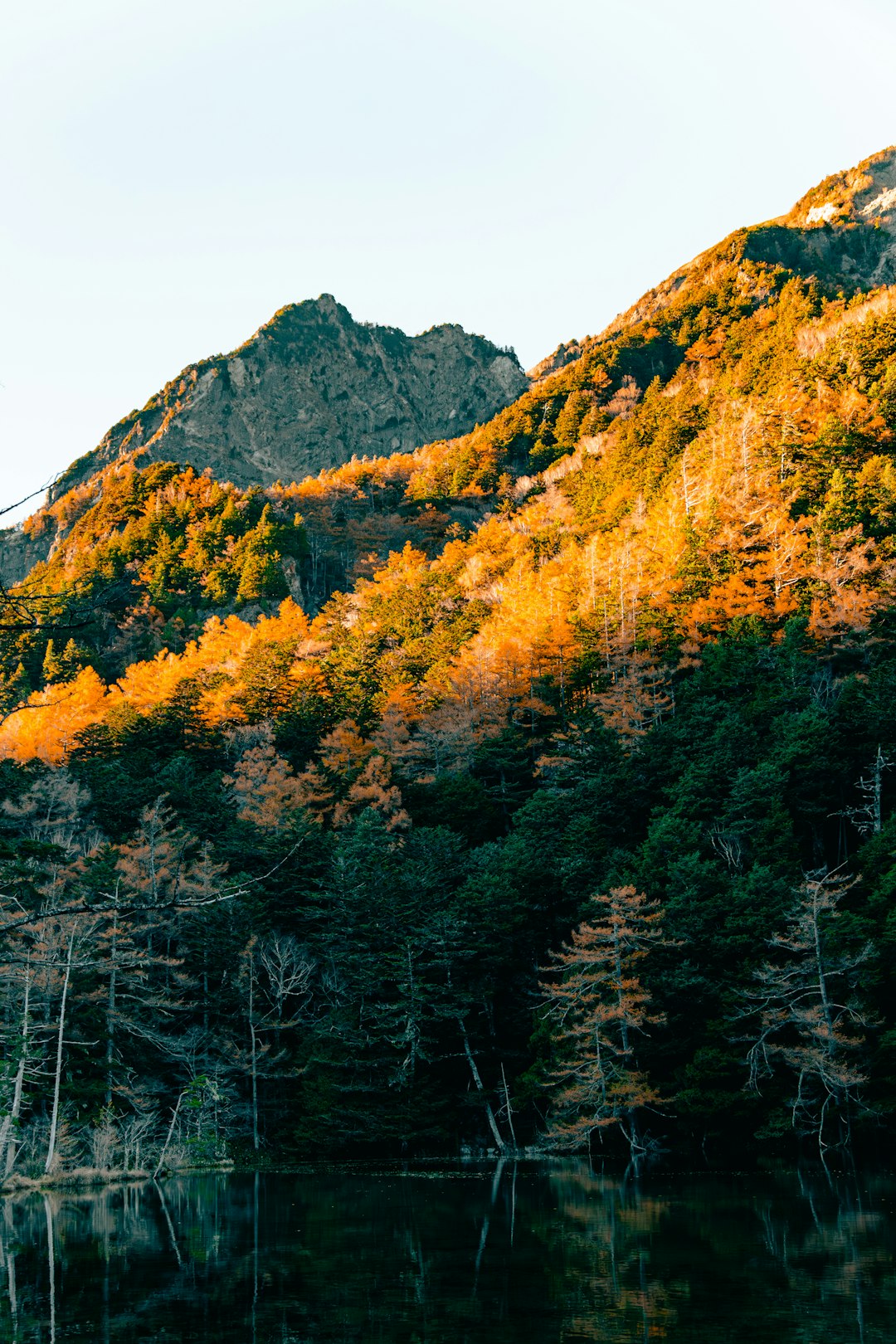 両神山の急峻な登山道