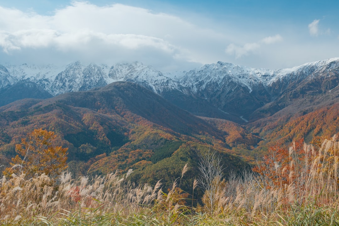 雪をかぶった山々と秋の草原のアルプス展望
