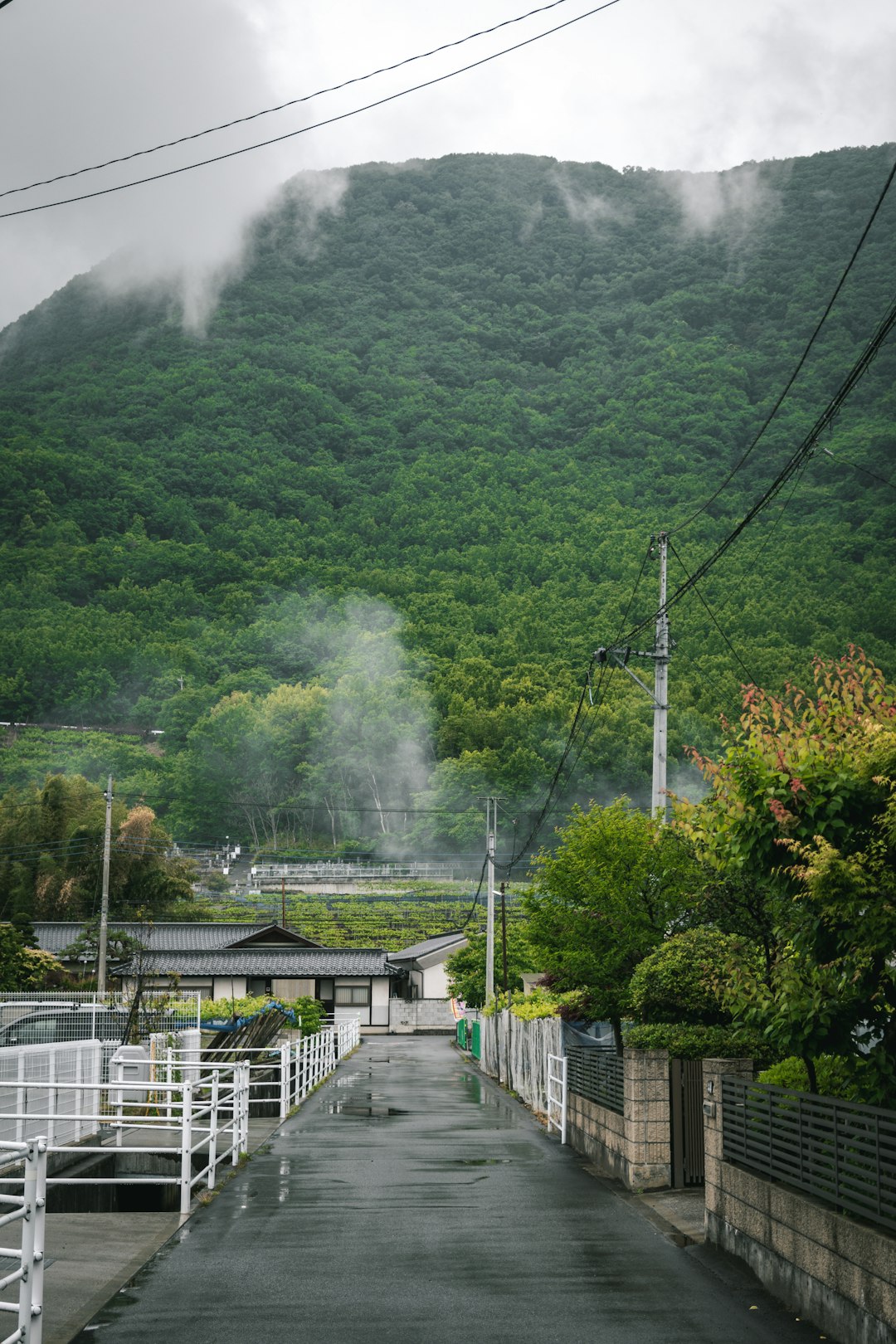 白骨温泉の乳白色の湯