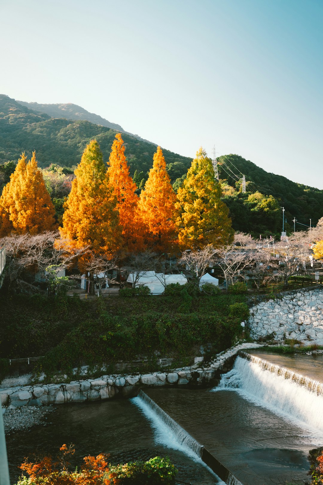 上高地の紅葉とカラマツの黄葉