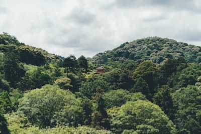 乗鞍岳へのバスアクセス・山岳風景