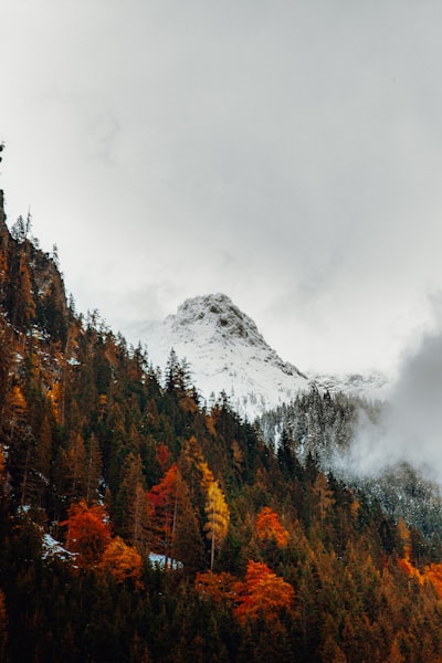 山の紅葉・秋の絶景