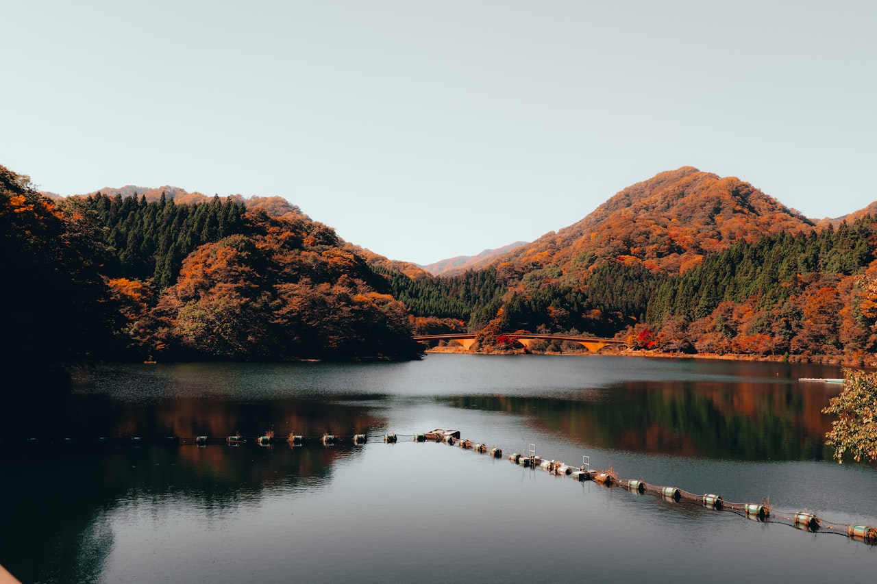 日本の山と紅葉の登山道
