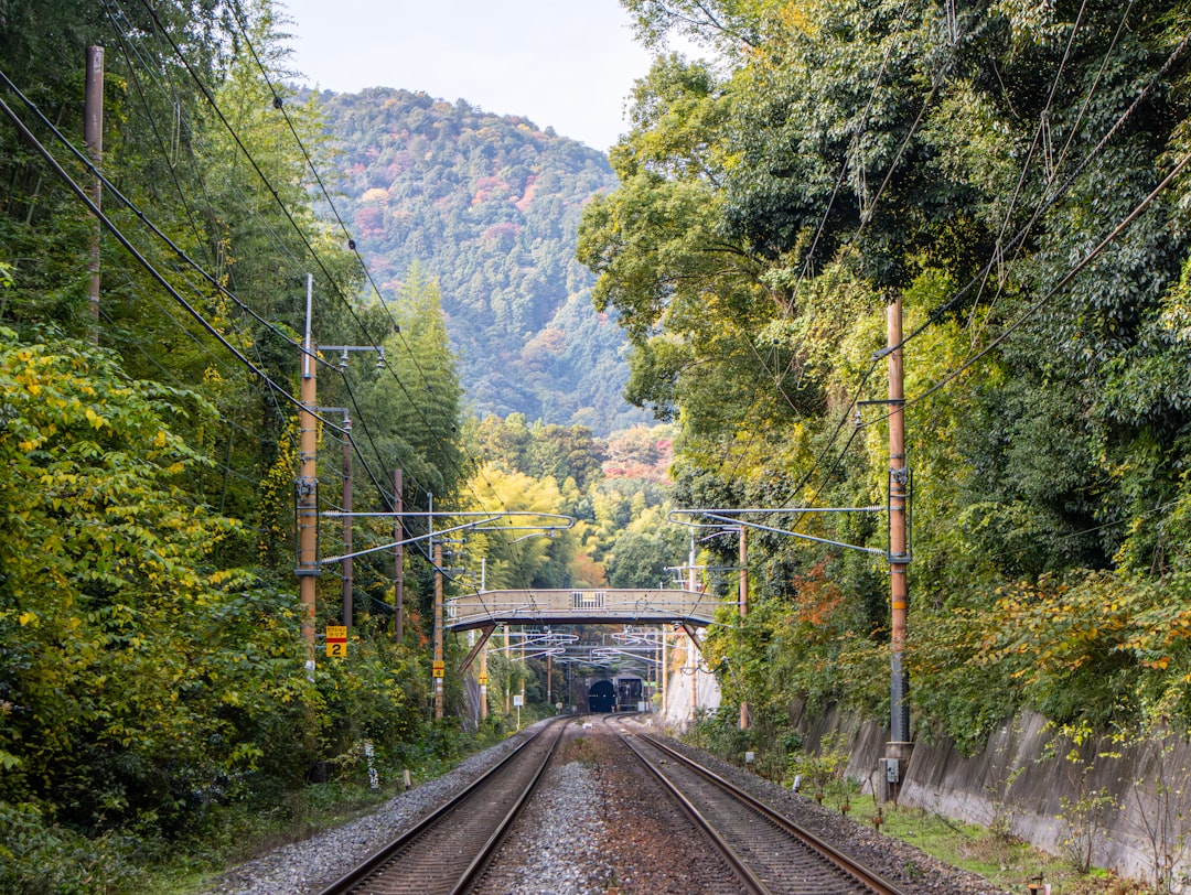 山間を走る電車の線路
