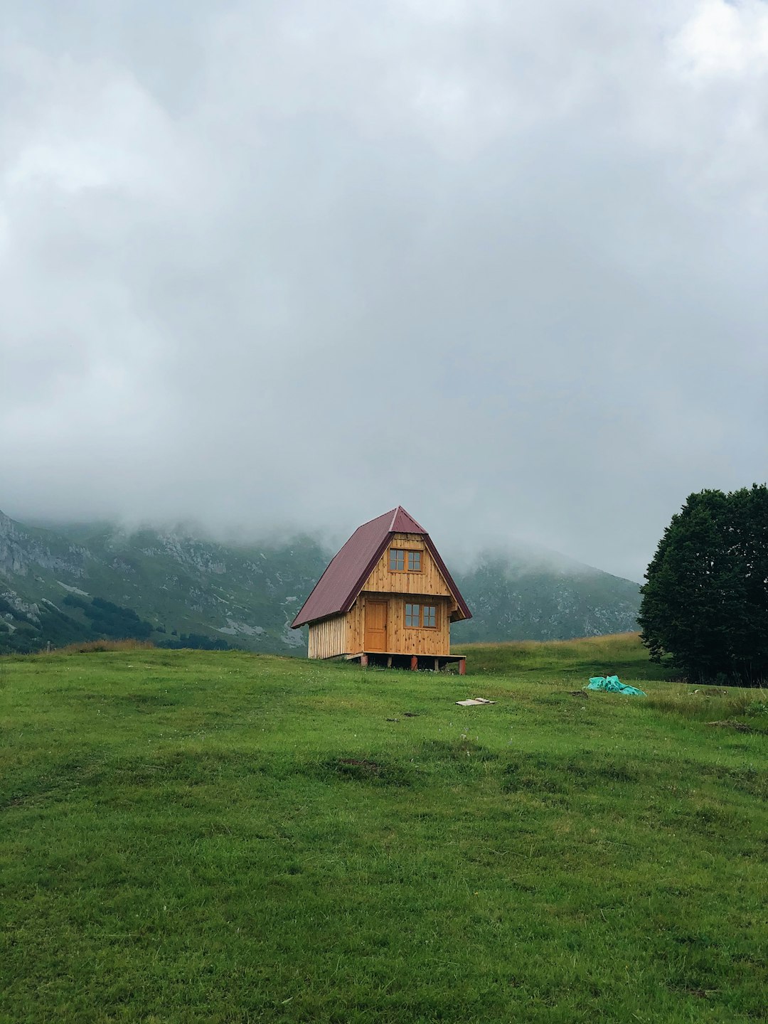 山小屋と緑の高山