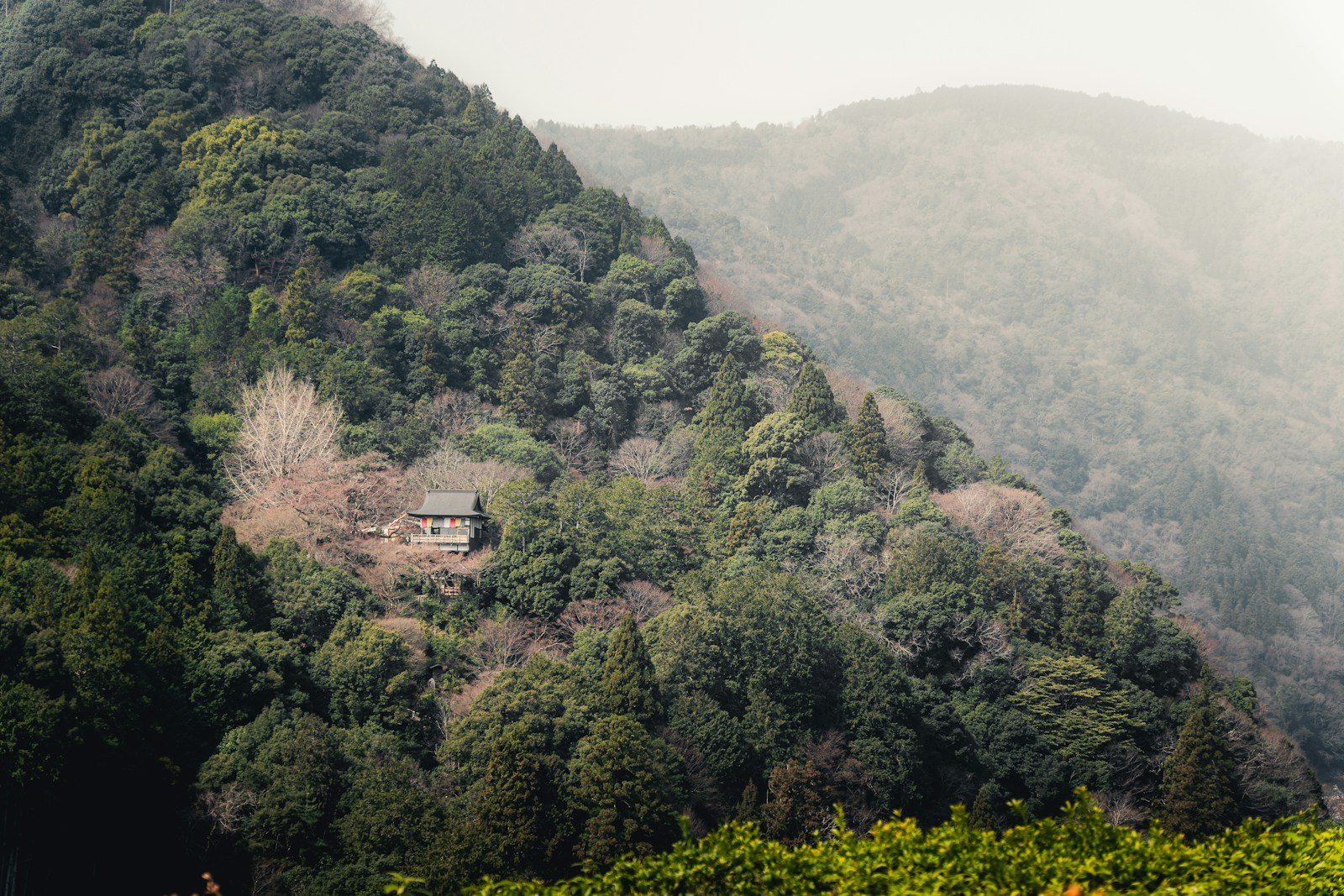 山中の和風建築