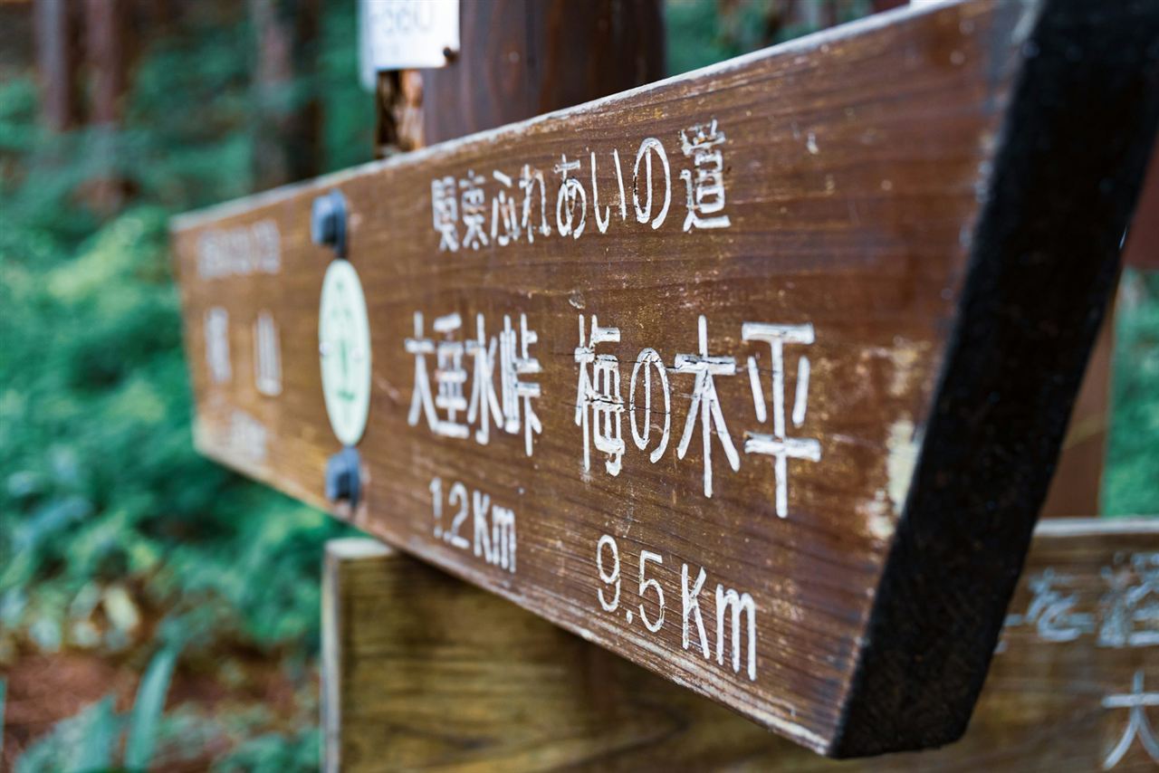 登山道の標識