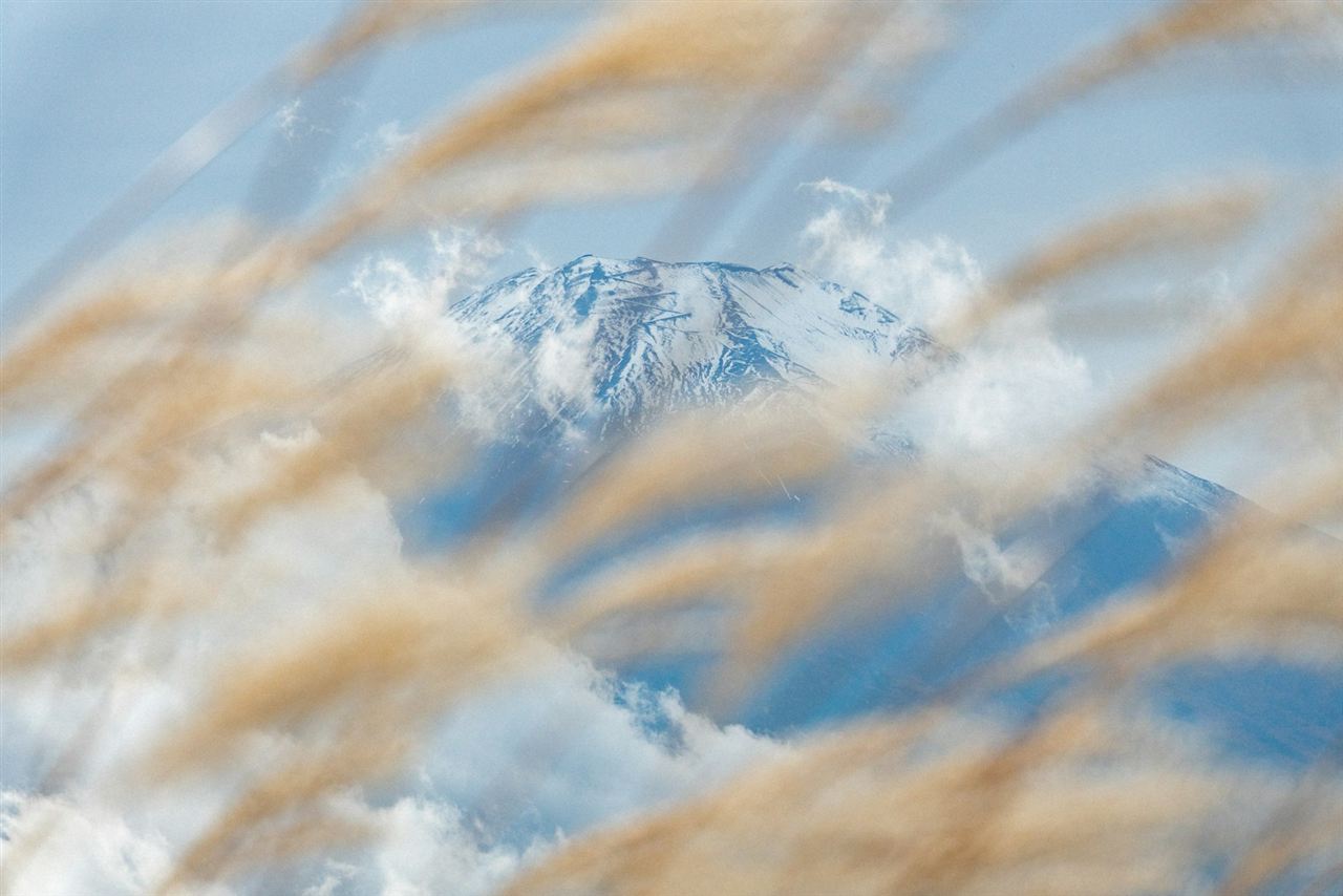 手前の草地越しに見える富士山の山頂