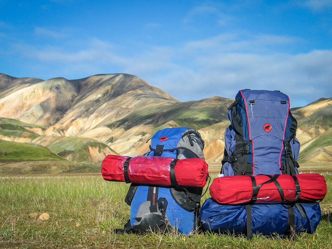草原に並べられた複数の登山用リュックサック