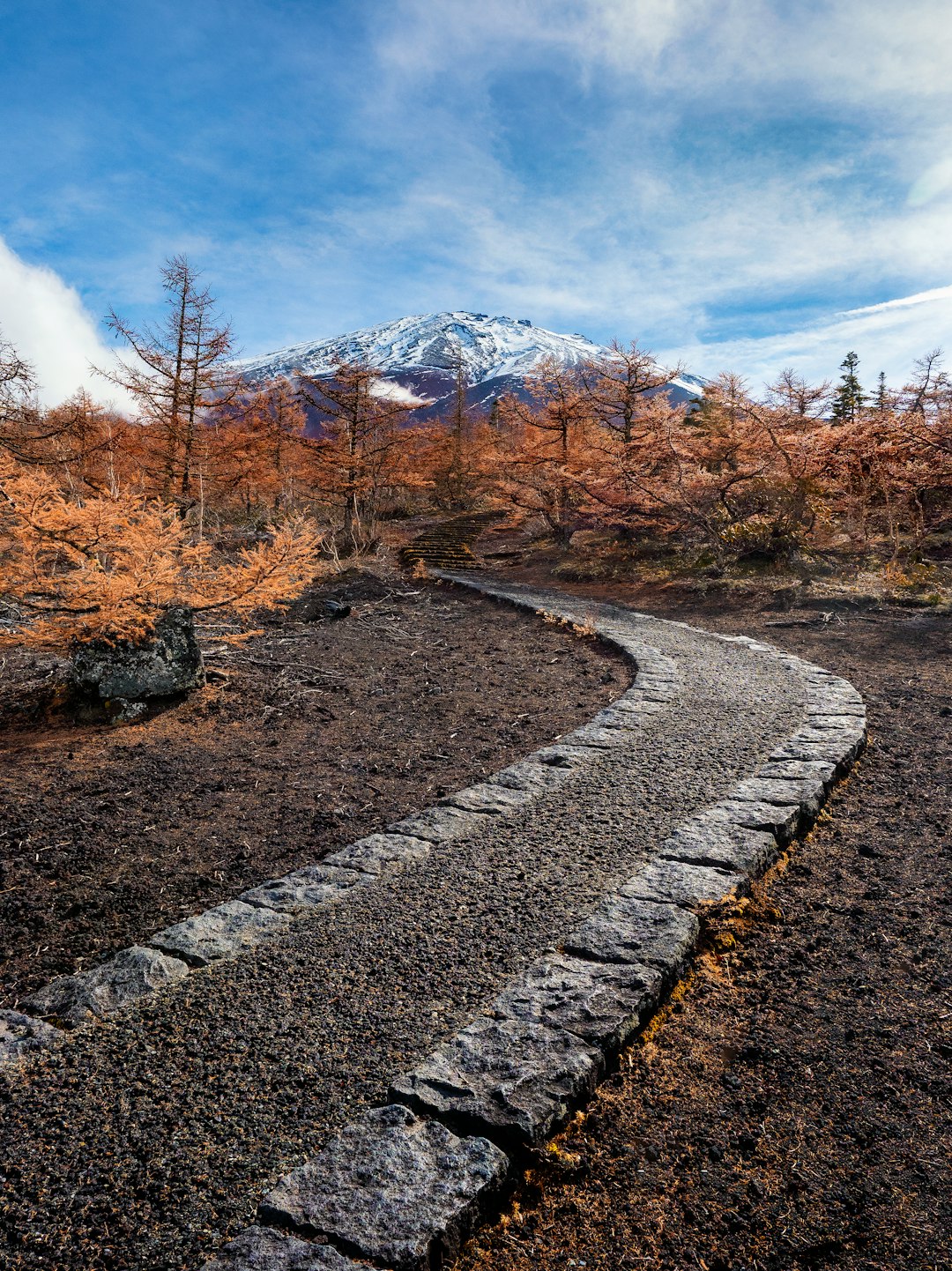 富士山の岩がちな登山道