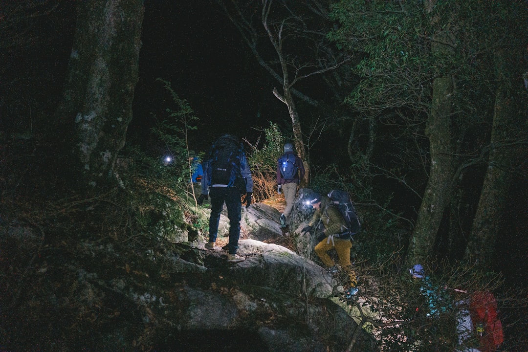 森の高台に立つ登山者たち