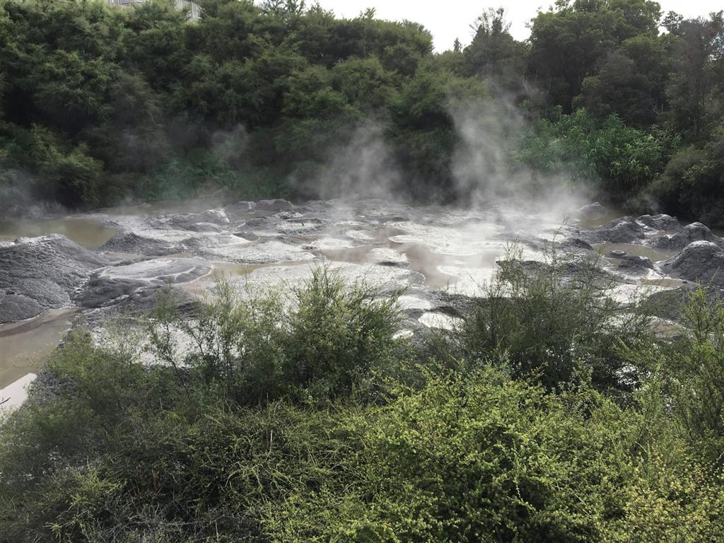 源泉から立ちのぼる湯気