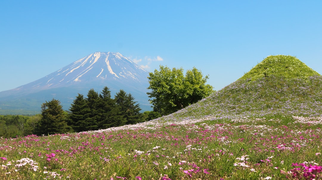 花畑越しに見る富士山と河口湖