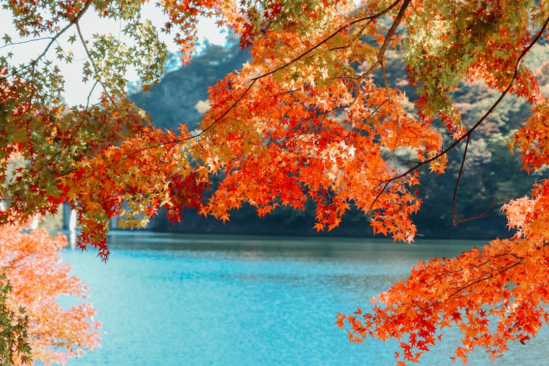 湖と山の紅葉風景