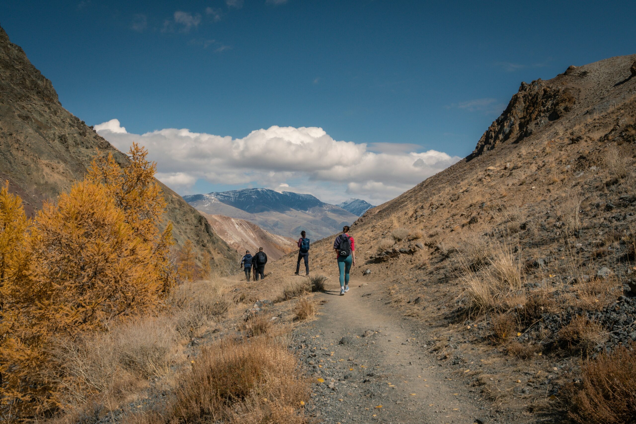 紅葉の登山道を歩くハイカーたち