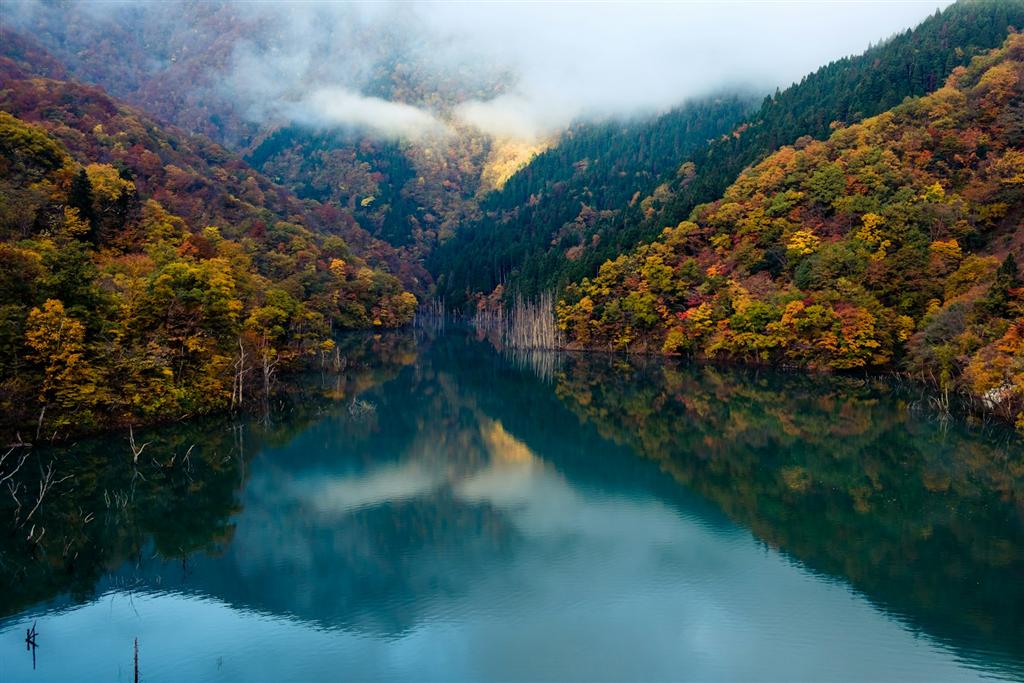 森に囲まれた湖畔の風景