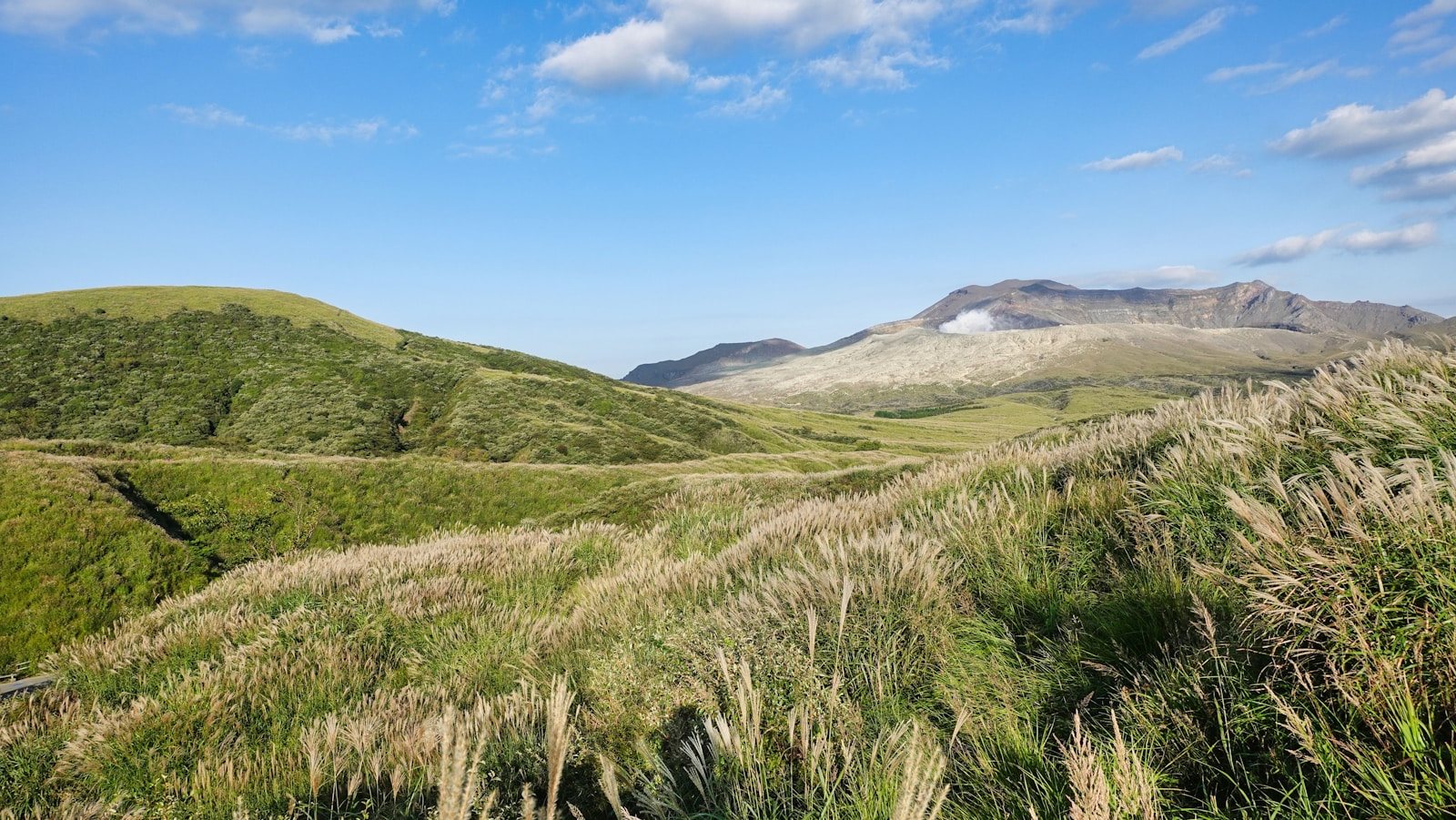 高原に広がる草地と山並み