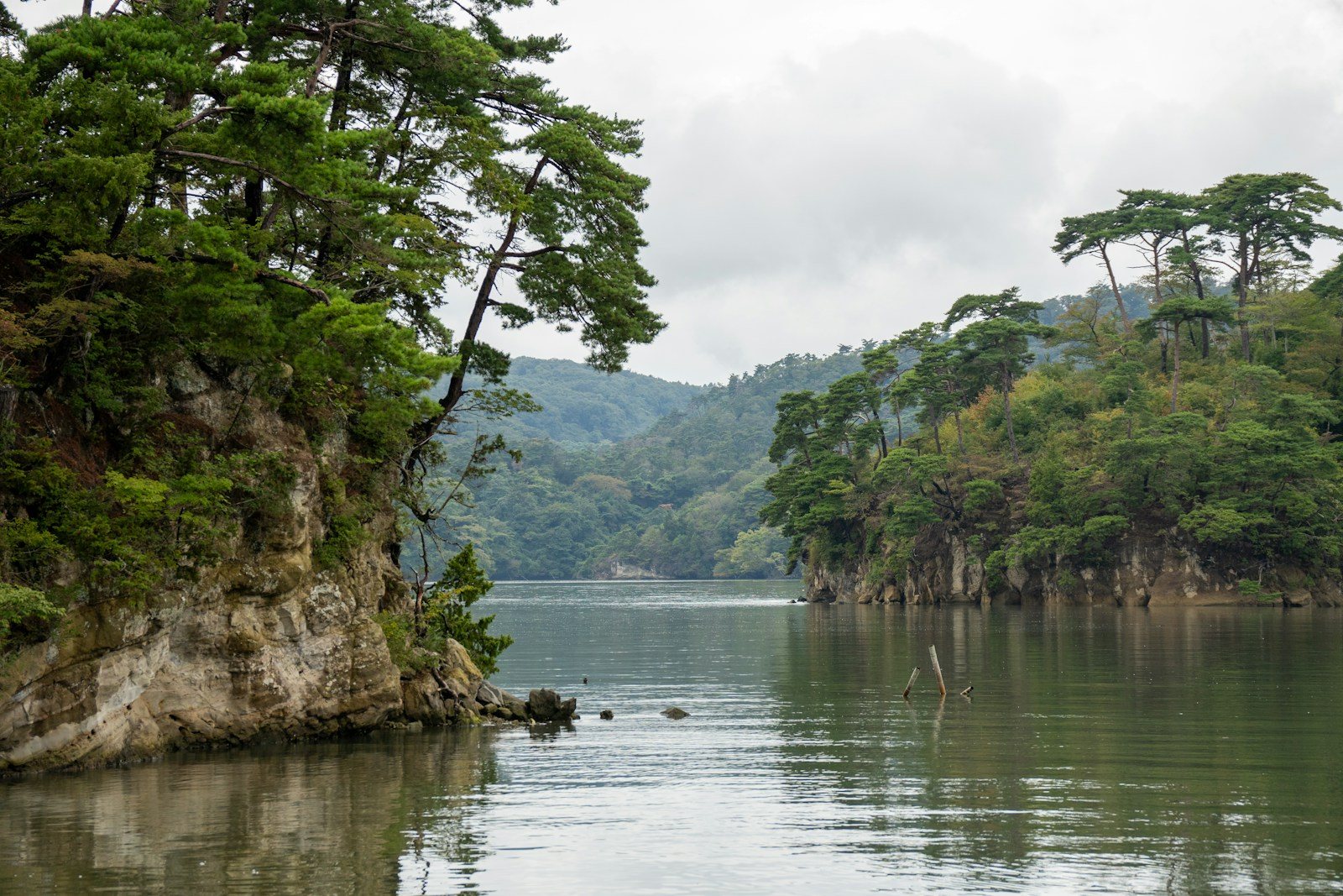 湖畔から望む山の風景