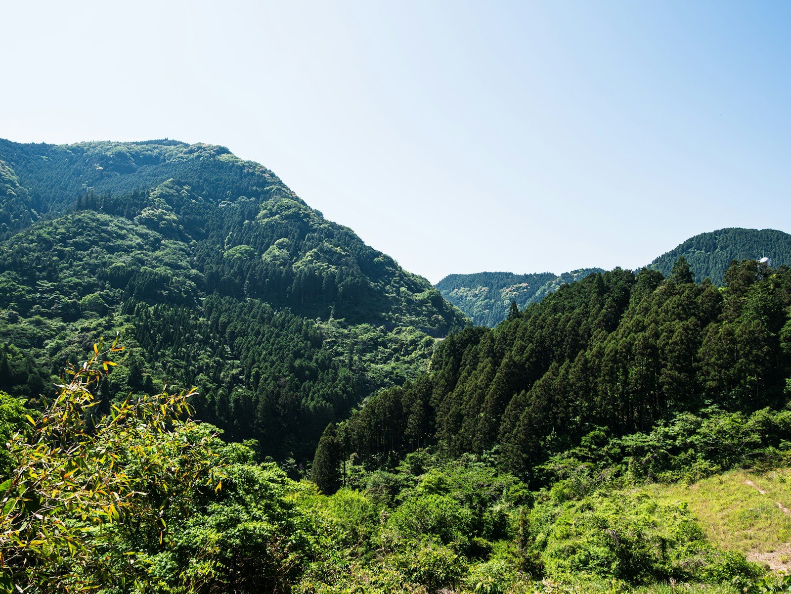 山上から見下ろす谷と山々