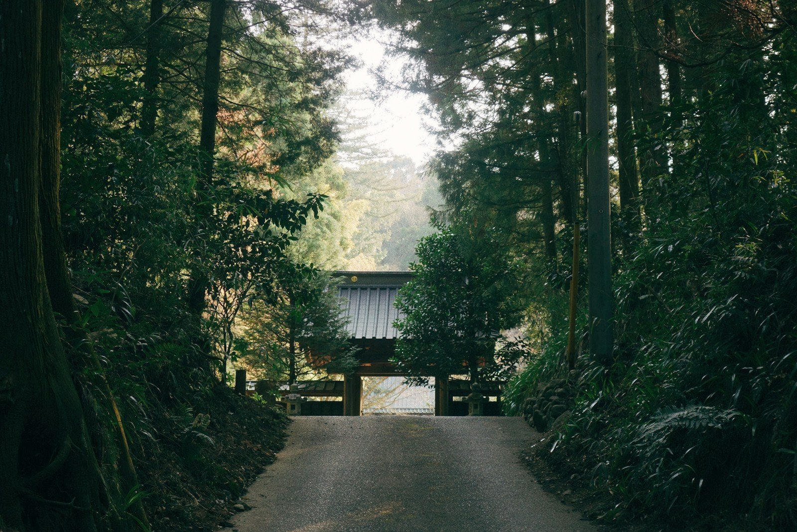 森の中を抜ける低山の登山道